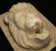 Antique Renaissance Stone Fontmask Representing Roaring Lion Ad 1400 - 1600 Primitives photo 7