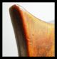 An Exceptionally Heavy + Tactile,  Well Patinated Headrest From Ethiopia Other photo 2