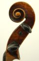 Antique German Violin - Guarnerius Model - Deep,  Dark And Powerful Tone String photo 3