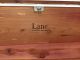 Vintage 1950’s Cedar Blanket Lane Hope Chest With Cushion Top With Key Post-1950 photo 3