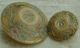 2 Victorian Glass Button Tan Gold Luster Pink Lt Blue Mother Daughter Sm Med Buttons photo 2