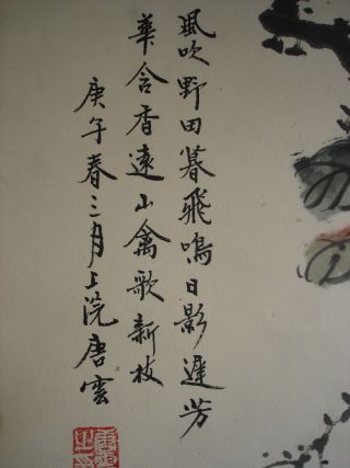 Vintage Chinese Hand Painted Scroll With Mynas & Spring Flowers photo