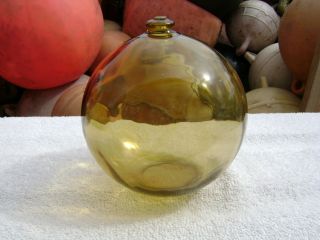 6 Inch Rare Gold Northwest Glass Company Glass Float Ball (413) photo