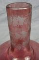 Antique Huge Cranberry Flashed Cut To Clear Vase/bottle Birds & Grapevines 19thc Vases photo 7