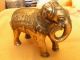 Antique Persian Bronze Bull Elephant 17th/18th Century Fine Collectible Piece Metalware photo 3