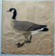1785 Japanese Hand Painted 3 Bird Big Pictures Goose,  Extinct Waterfowl 21 X 22 