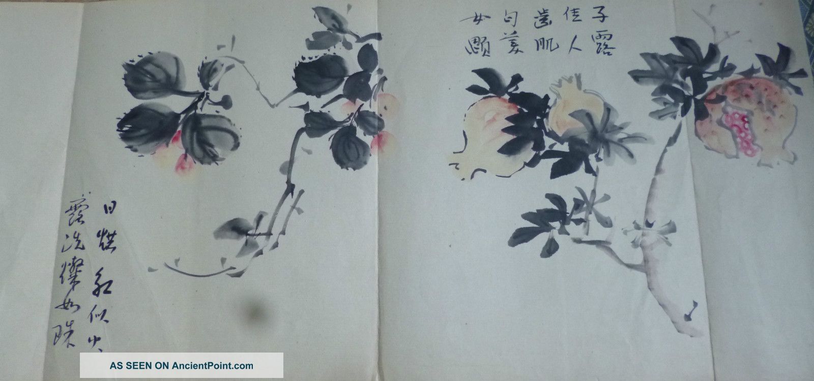 Japanese Ink Drawing Sketch Pomegranate Hand Drawn 66 X 30 Cm Showa/taisho Prints photo