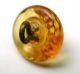 Antique Charmstring Glass Button Honey Color Berry Mold Swirl Back Buttons photo 2