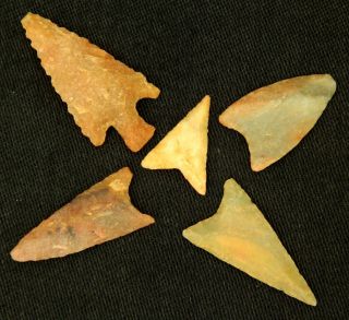 5 Neolithic Neolithique Jasper And Quartz Arrowheads - 6500 To 2000 Bp - Sahara photo