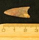 5 Neolithic Neolithique Jasper And Quartz Arrowheads - 6500 To 2000 Bp - Sahara Neolithic & Paleolithic photo 1
