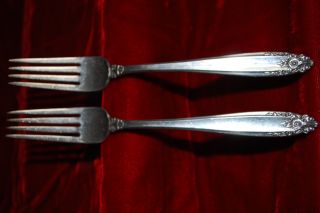 2 Vintage Sterling Silver Dinner Forks International Silver - Prelude - 104.  2 Gr photo