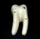 Antique Denoyer Geppert - Molar Dental Tooth Anatomical Teaching Model,  2 Parts Dentistry photo 5