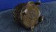 Antique Chinese Old Copper Handwork Dragon Incense Burner Incense Burners photo 10