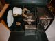 1930s Cased Travelling Spirit Kettle & Burner Car Set In Leather Case Art Deco photo 2