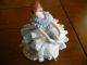 Antique Dresden Porcelain Lace Ballerina Lady Dancer Figurine / Germany Figurines photo 1