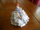 Antique Dresden Porcelain Lace Ballerina Lady Dancer Figurine / Germany Figurines photo 2