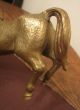 Antique Ornate 1800 ' S Solid Heavy Bronze Brass Standing Horse Figure Sculpture Metalware photo 3