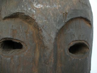 Timor Tribal Protective Mask Ethnographic Artifact 20th C photo