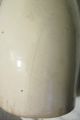 Stoneware Birchleaf Butter Churn Without Oval Red Wing Minnesota Union Primitives photo 11