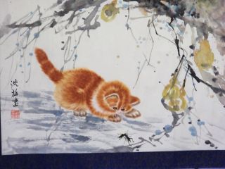 Ps61 Vintage Chinese Painting Scroll Cat Chasing Crikets Water Color 53 