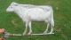 Folky Antique Cow Weathervane Directional Neat Item Primitives photo 2