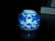 Lovely Chinese Porcelain Water Pot Designs Dragons Pots photo 7