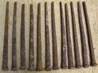 Antique Dozen Of Square Nails Spikes - 5 Inch photo