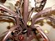 Vintage.  Ex - Large Solid Bronze Murano Leaf Berries Tole Chandelier Chandeliers, Fixtures, Sconces photo 8