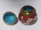 Vintade Asian Chinese Cloisonne Snuff Box Pear Design Snuff Bottles photo 2