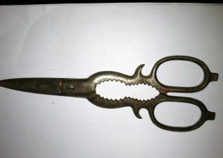 Old Antique Scissors Bottle Operner Nutcracker Tool Heavy C.  1930s No Reserves photo
