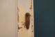 Lancaster County,  Pa Late 1800 ' S 2 Piece White Painted Stepback Cupboard Primitives photo 4