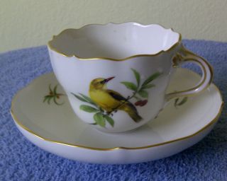 Unusual Hand Crafted Fine Porcelain Teacup And Saucer Meissen Germany photo