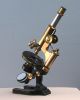 E Leitz Wetzlar Antique Brass Continental Microscope Stativ Ia W/wood Case 1900 Microscopes & Lab Equipment photo 8