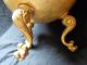 1800s Antique French Jardiniere Ornate Brass Planter Footed Tripod Handle Copper Metalware photo 11