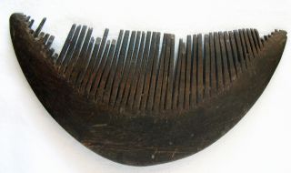 Buffalo Horn Comb Timor Tribal Ethnographic Artifact Mid 20th C photo