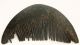 Buffalo Horn Comb Timor Tribal Ethnographic Artifact Mid 20th C Pacific Islands & Oceania photo 1
