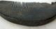 Buffalo Horn Comb Timor Tribal Ethnographic Artifact Mid 20th C Pacific Islands & Oceania photo 2