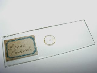 Microscope Slide Microphotograph - £1000 Bank Note photo