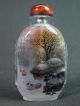 Chinese Scenery Inside Hand Painted Glass Snuff Bottle:gift Box Snuff Bottles photo 3