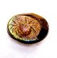 Antique Black Glass Picture Button Gold Green Carnival Luster Spider &web 11/16” Buttons photo 6