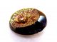 Antique Black Glass Picture Button Gold Green Carnival Luster Spider &web 11/16” Buttons photo 7