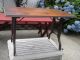 Antique 1875 Portable Wood & Cast Iron Adjustable - Height Utility Table - Steampunk 1800-1899 photo 1