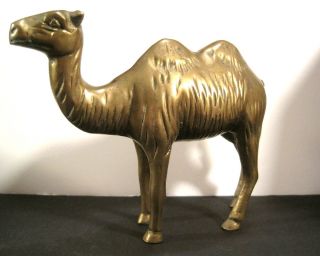 Vintage Hand Cast Made Solid Bronze Brass Statue Of A Camel 19th Century Rare photo