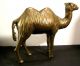 Vintage Hand Cast Made Solid Bronze Brass Statue Of A Camel 19th Century Rare Metalware photo 2