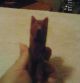 Antique Wood Hand Carved 