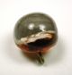 Antique Paperweight Glass Button Honey & White Flecks Under Clear Dome Swirl Bac Buttons photo 1