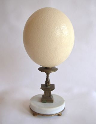 Ostrich Egg On Antique Bronze And Marble Base Objet D ' Art photo