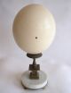 Ostrich Egg On Antique Bronze And Marble Base Objet D ' Art Metalware photo 3