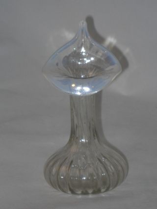 Antique Victorian Jack & The Pulpit Vase With Iridescent Top photo
