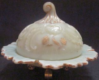 Exquisite Antique 1898 Northwood ' Louis Xv ' Custard Glass Covered Butter Dish photo